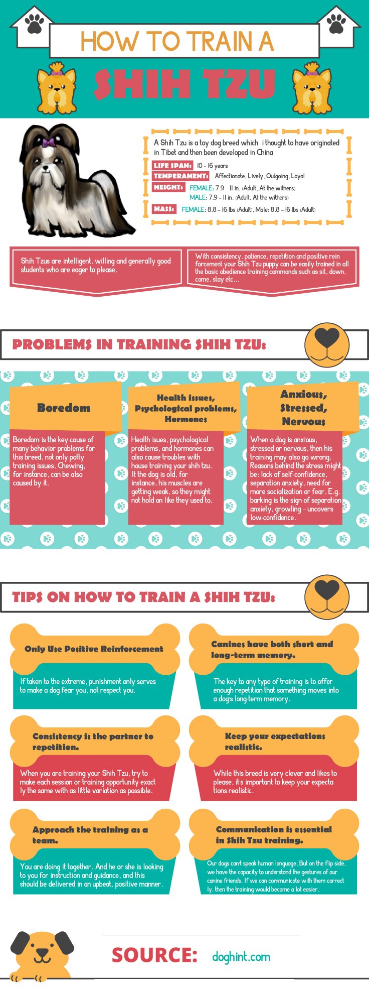  how to train a shih tzu doghint.com