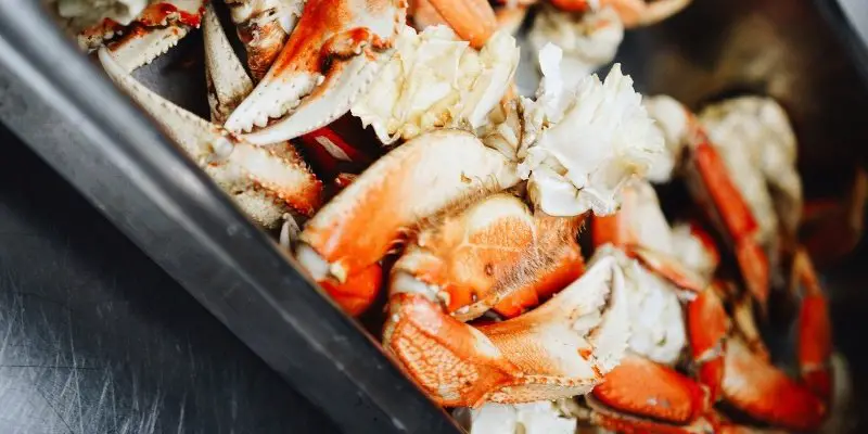 Can dogs eat crab meat? Both real and imitation?