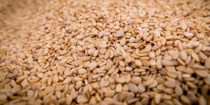 can-dogs-eat-sesame-seeds-or-anything-with-sesame-seeds