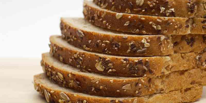 is whole wheat bread good for dogs