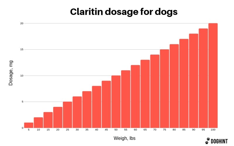 claritin dosage for dogs