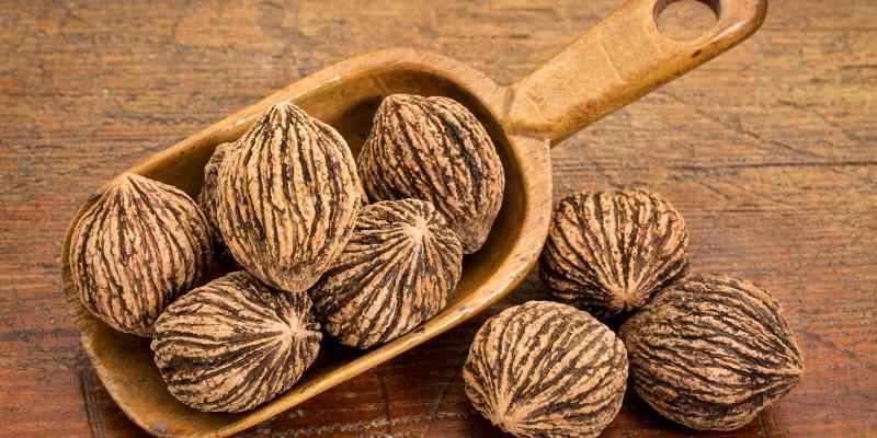 are black walnuts bad for dogs