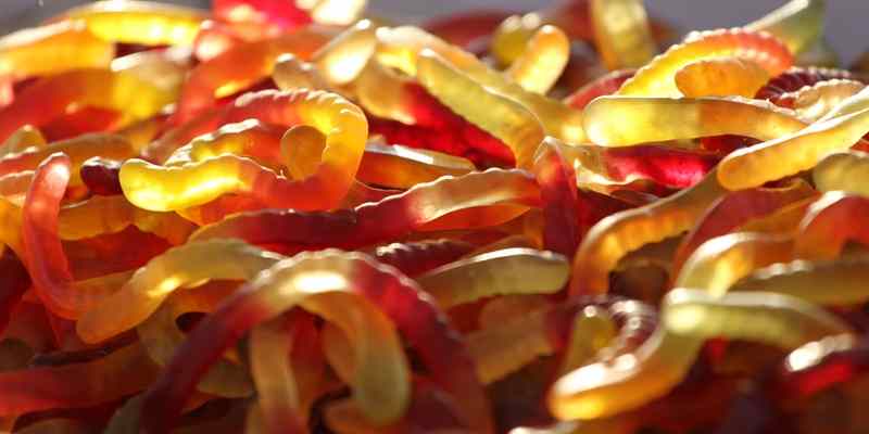 can-dogs-eat-gummy-bears-or-worms-diy-recipe-included