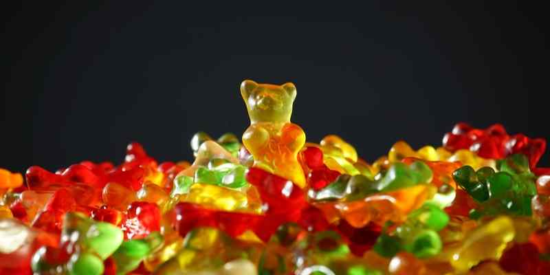 gummy bears bad for dogs