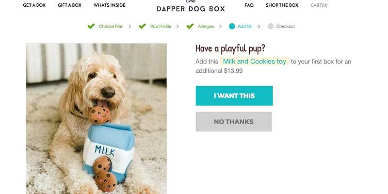 dog subscription box $10