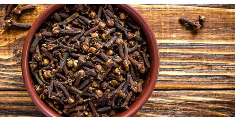 Can Dogs Eat Cloves or It’s Toxic? What About Clove Oil?