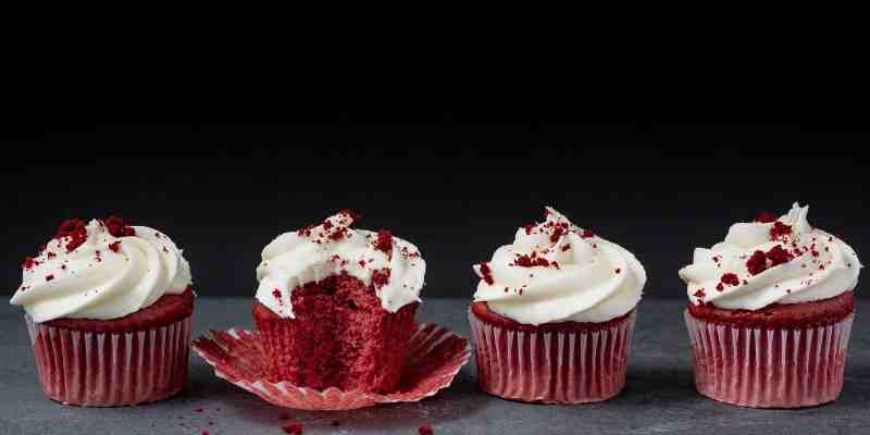 dog ate cupcake