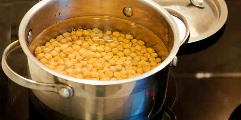 Can Dogs Eat Chickpeas Raw Dried Or Roasted can-dogs-eat-chickpeas-raw-dried-or-roasted