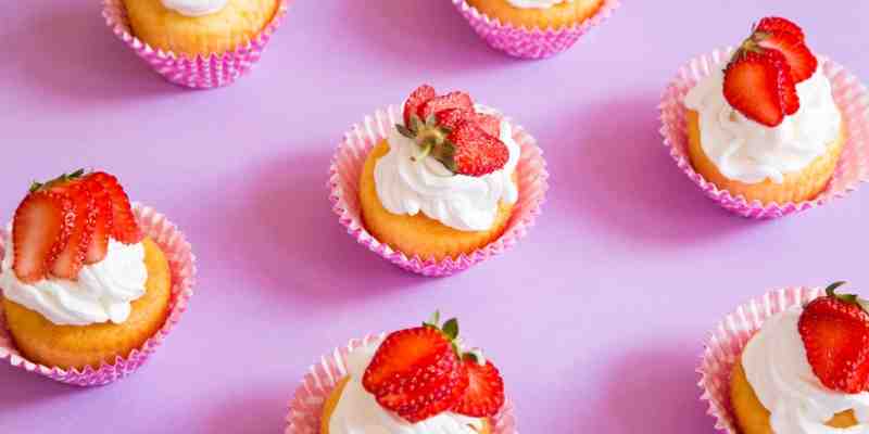 dog ate cupcake