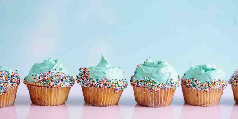 dog ate cupcake