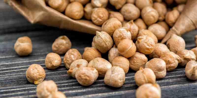 can dogs eat roasted chickpeas