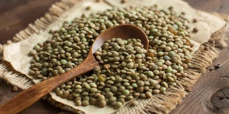 are lentils good for dogs