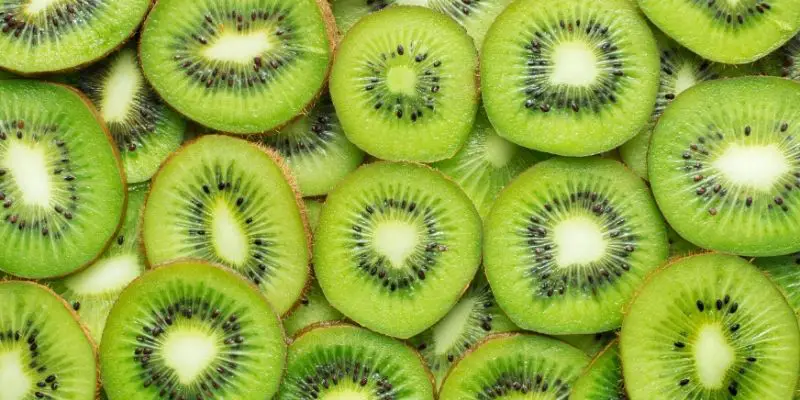 Can Dogs Eat Kiwi? (+ Safest Way to Share It with Your Pup)