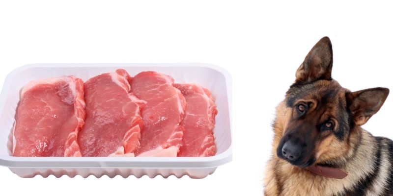 dog and raw pork