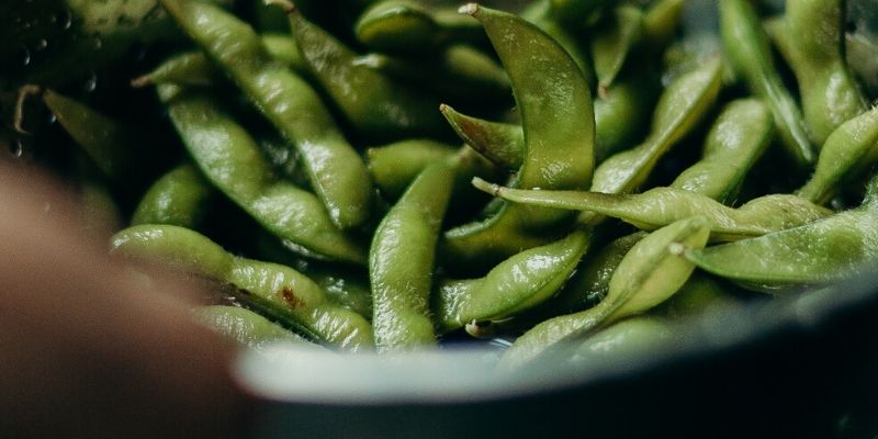 is edamame safe for dogs