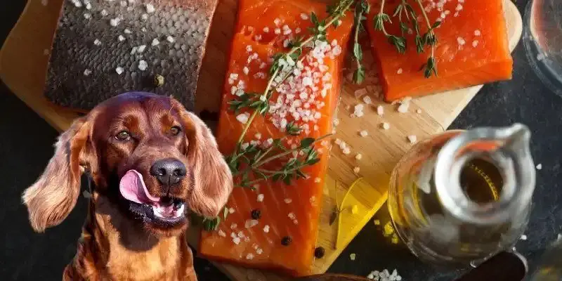 Can Dogs Eat Salmon Skin? (Cooked, Raw, or as Treats?)